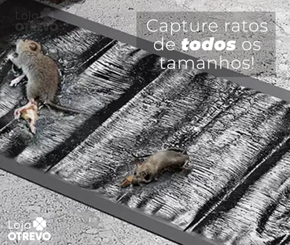 CatchMouse® - Armadilha Pegajosa Para Ratos