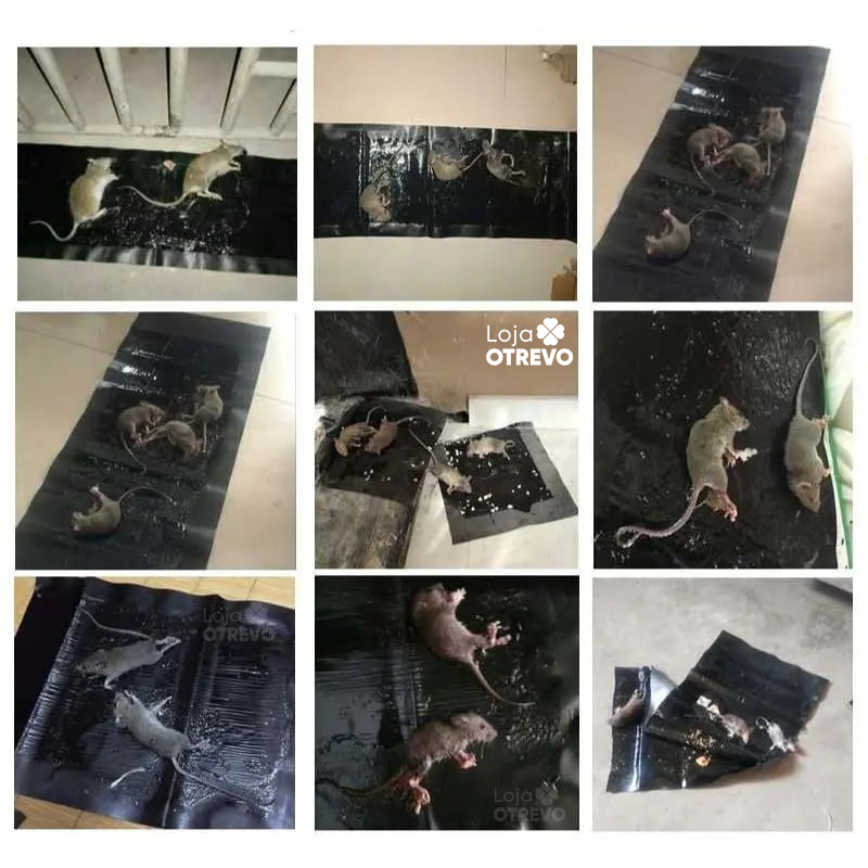 CatchMouse® - Armadilha Pegajosa Para Ratos